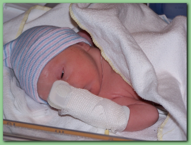 584x433 pixels (231K)